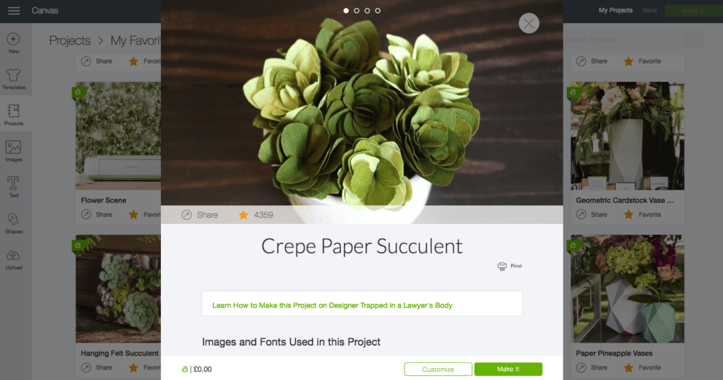 crepe paper succulent